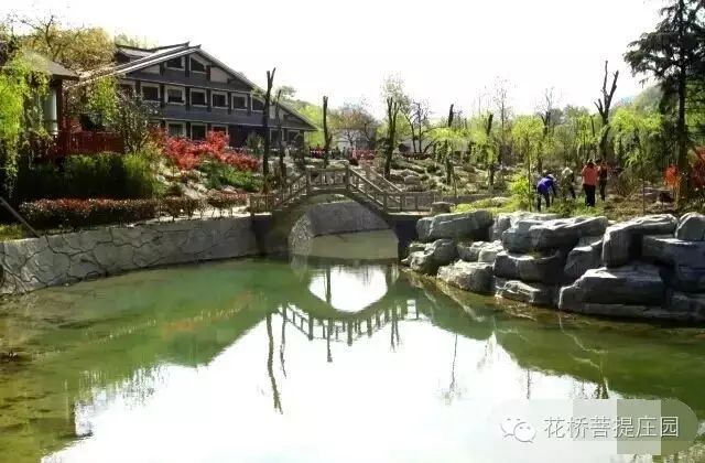 這個周末，隴南康縣花橋有大事要發(fā)生？