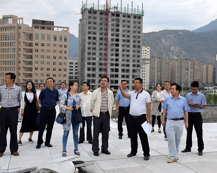 省、市聯(lián)合工作組蒞臨階州廣場檢查指導(dǎo)工作