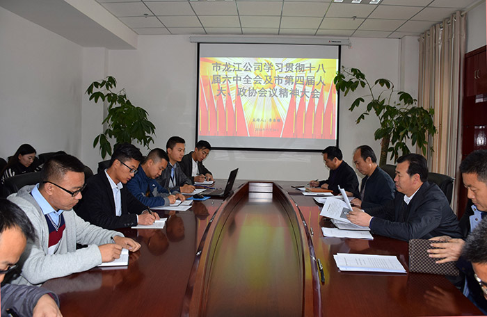市龍江公司召開全體員工大會，專題傳達學習上級會議精神