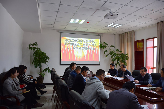 市龍江公司召開全體員工大會，專題傳達學習上級會議精神