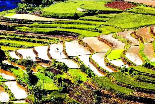 財政部 國務院扶貧辦發(fā)文進一步推進貧困縣統(tǒng)籌整合使用財政涉農資金工作