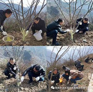 市龍江集團(tuán)在文縣橋頭鎮(zhèn)安子坡村開展“解難題、辦實事、送溫暖”活動