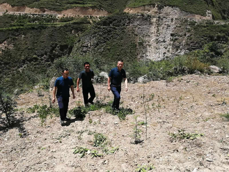 “感黨恩、憶黨史”，--市龍江城鄉(xiāng)發(fā)展集團(tuán)公司開(kāi)展慶祝建黨99周年主題黨日活動(dòng)