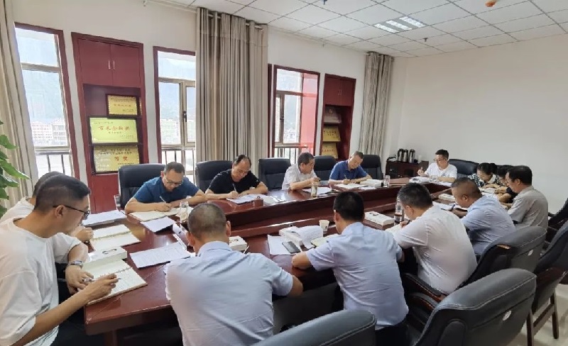 市龍江集團(tuán)召開黨委(擴(kuò)大)會(huì)議